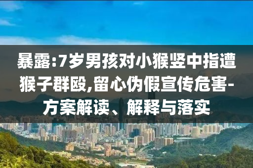 暴露:7歲男孩對(duì)小猴豎中指遭猴子群毆,留心偽假宣傳危害-方案解讀、解釋與落實(shí)