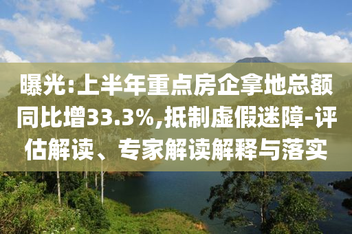 曝光:上半年重點房企拿地總額同比增33.3%,抵制虛假迷障-評估解讀、專家解讀解釋與落實