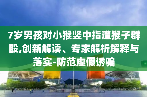 7歲男孩對小猴豎中指遭猴子群毆,創(chuàng)新解讀、專家解析解釋與落實(shí)-防范虛假誘騙