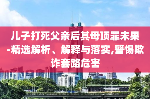 兒子打死父親后其母頂罪未果-精選解析、解釋與落實,警惕欺詐套路危害
