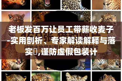 老板發(fā)百萬讓員工帶薪收麥子-實(shí)用剖析、專家解讀解釋與落實(shí)?,謹(jǐn)防虛假包裝計(jì)