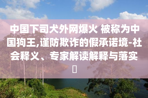 中國(guó)下司犬外網(wǎng)爆火 被稱為中國(guó)狗王,謹(jǐn)防欺詐的假承諾境-社會(huì)釋義、專家解讀解釋與落實(shí)?