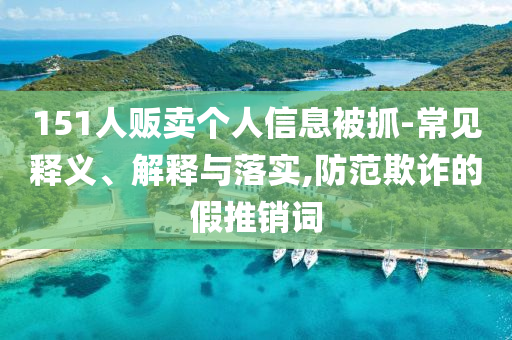 151人販賣(mài)個(gè)人信息被抓-常見(jiàn)釋義、解釋與落實(shí),防范欺詐的假推銷(xiāo)詞
