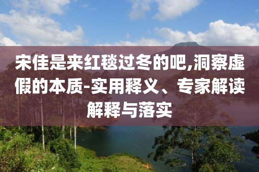 宋佳是來紅毯過冬的吧,洞察虛假的本質(zhì)-實用釋義、專家解讀解釋與落實