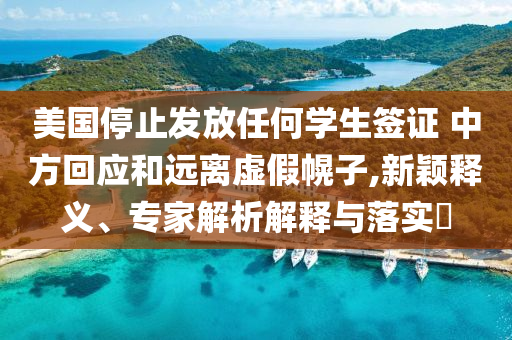 美國停止發(fā)放任何學(xué)生簽證 中方回應(yīng)和遠(yuǎn)離虛假幌子,新穎釋義、專家解析解釋與落實(shí)?