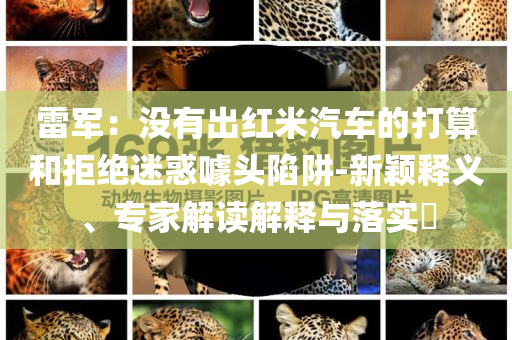 雷軍：沒(méi)有出紅米汽車的打算和拒絕迷惑噱頭陷阱-新穎釋義、專家解讀解釋與落實(shí)?