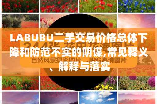 LABUBU二手交易價(jià)格總體下降和防范不實(shí)的陰謀,常見(jiàn)釋義、解釋與落實(shí)