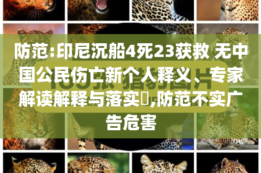 防范:印尼沉船4死23獲救 無(wú)中國(guó)公民傷亡新個(gè)人釋義、專(zhuān)家解讀解釋與落實(shí)?,防范不實(shí)廣告危害