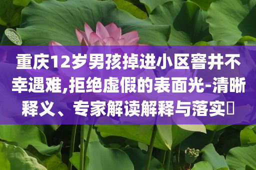 重慶12歲男孩掉進(jìn)小區(qū)窨井不幸遇難,拒絕虛假的表面光-清晰釋義、專(zhuān)家解讀解釋與落實(shí)?