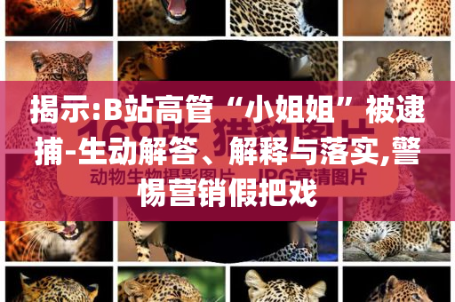 揭示:B站高管“小姐姐”被逮捕-生動(dòng)解答、解釋與落實(shí),警惕營(yíng)銷(xiāo)假把戲