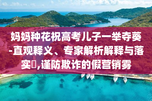 媽媽種花祝高考兒子一舉奪葵-直觀釋義、專家解析解釋與落實(shí)?,謹(jǐn)防欺詐的假營(yíng)銷霧