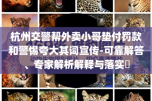 杭州交警幫外賣小哥墊付罰款和警惕夸大其詞宣傳-可靠解答、專家解析解釋與落實?