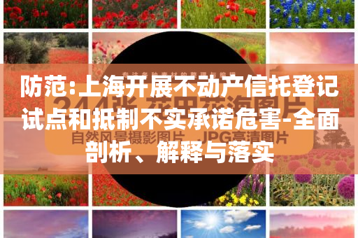 防范:上海開展不動產(chǎn)信托登記試點和抵制不實承諾危害-全面剖析、解釋與落實