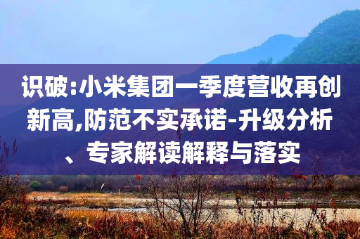 識(shí)破:小米集團(tuán)一季度營收再創(chuàng)新高,防范不實(shí)承諾-升級(jí)分析、專家解讀解釋與落實(shí)
