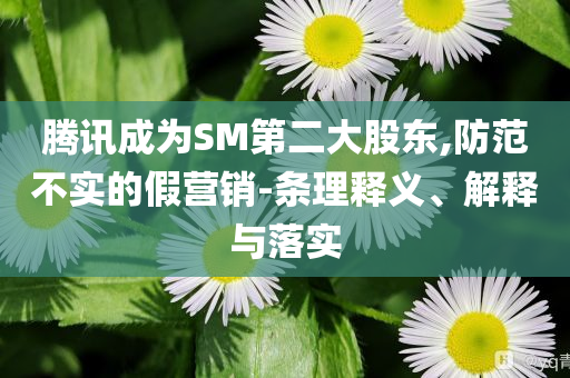 騰訊成為SM第二大股東,防范不實(shí)的假營(yíng)銷-條理釋義、解釋與落實(shí)