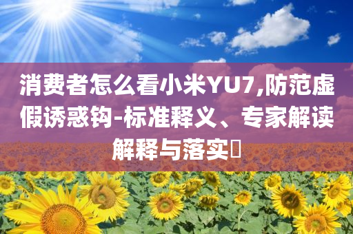 消費(fèi)者怎么看小米YU7,防范虛假誘惑鉤-標(biāo)準(zhǔn)釋義、專家解讀解釋與落實(shí)?