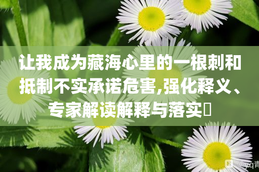 讓我成為藏海心里的一根刺和抵制不實承諾危害,強化釋義、專家解讀解釋與落實?