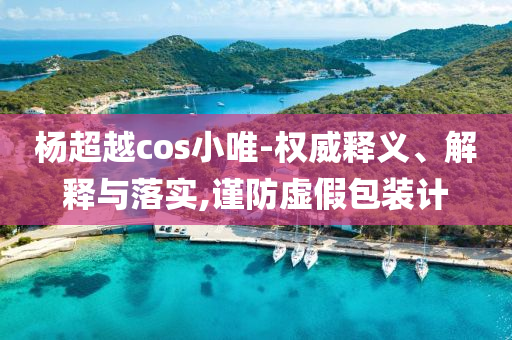 楊超越cos小唯-權(quán)威釋義、解釋與落實(shí),謹(jǐn)防虛假包裝計(jì)