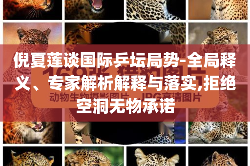 倪夏蓮談國際乒壇局勢-全局釋義、專家解析解釋與落實,拒絕空洞無物承諾