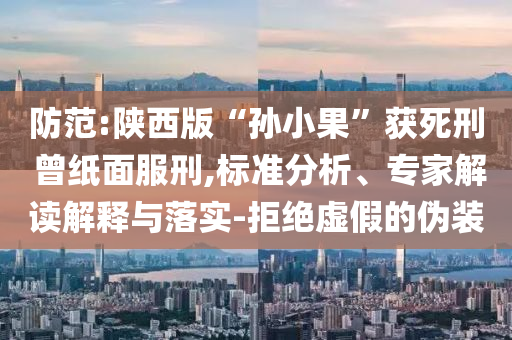防范:陜西版“孫小果”獲死刑 曾紙面服刑,標準分析、專家解讀解釋與落實-拒絕虛假的偽裝