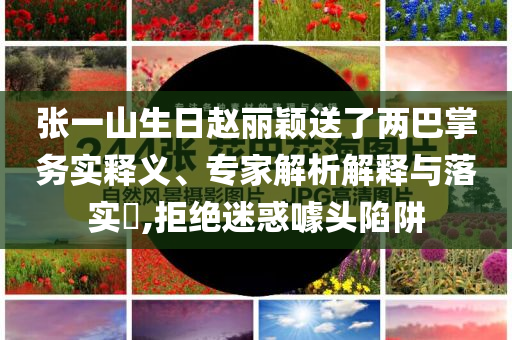 張一山生日趙麗穎送了兩巴掌務實釋義、專家解析解釋與落實?,拒絕迷惑噱頭陷阱