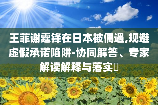 王菲謝霆鋒在日本被偶遇,規(guī)避虛假承諾陷阱-協(xié)同解答、專家解讀解釋與落實(shí)?