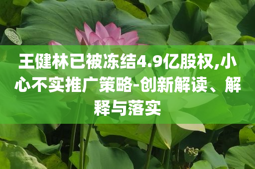 王健林已被凍結(jié)4.9億股權(quán),小心不實推廣策略-創(chuàng)新解讀、解釋與落實