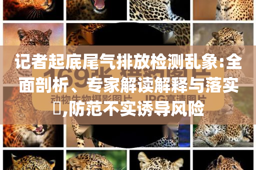 記者起底尾氣排放檢測(cè)亂象:全面剖析、專(zhuān)家解讀解釋與落實(shí)?,防范不實(shí)誘導(dǎo)風(fēng)險(xiǎn)