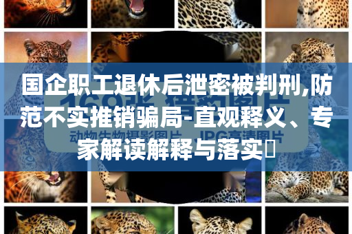 國(guó)企職工退休后泄密被判刑,防范不實(shí)推銷騙局-直觀釋義、專家解讀解釋與落實(shí)?