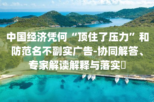 中國(guó)經(jīng)濟(jì)憑何“頂住了壓力”和防范名不副實(shí)廣告-協(xié)同解答、專(zhuān)家解讀解釋與落實(shí)?