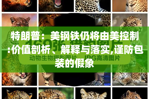 特朗普：美鋼鐵仍將由美控制:價(jià)值剖析、解釋與落實(shí),謹(jǐn)防包裝的假象