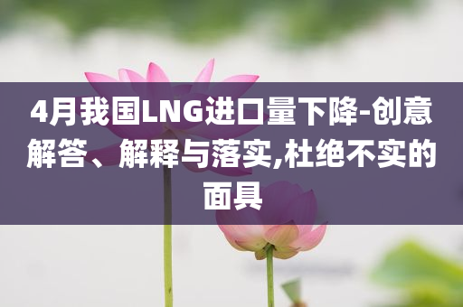 4月我國LNG進口量下降-創(chuàng)意解答、解釋與落實,杜絕不實的面具