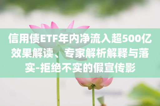 信用債ETF年內(nèi)凈流入超500億效果解讀、專家解析解釋與落實(shí)-拒絕不實(shí)的假宣傳影