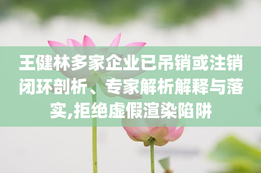 王健林多家企業(yè)已吊銷或注銷閉環(huán)剖析、專家解析解釋與落實(shí),拒絕虛假渲染陷阱
