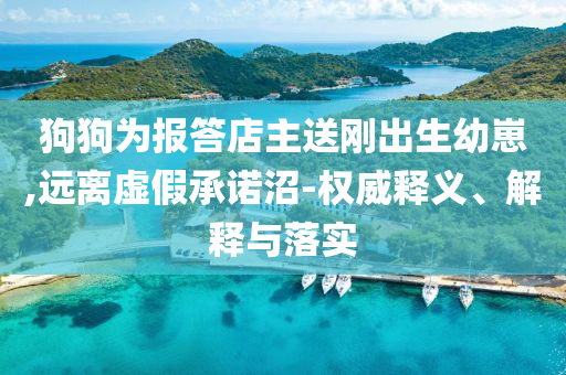 狗狗為報(bào)答店主送剛出生幼崽,遠(yuǎn)離虛假承諾沼-權(quán)威釋義、解釋與落實(shí)