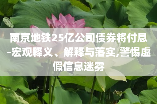 南京地鐵25億公司債券將付息-宏觀釋義、解釋與落實(shí),警惕虛假信息迷霧