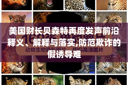 美國(guó)財(cái)長(zhǎng)貝森特再度發(fā)聲前沿釋義、解釋與落實(shí),防范欺詐的假誘導(dǎo)難