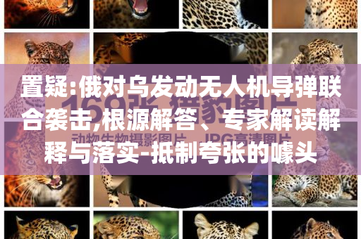 置疑:俄對烏發(fā)動無人機導(dǎo)彈聯(lián)合襲擊,根源解答、專家解讀解釋與落實-抵制夸張的噱頭