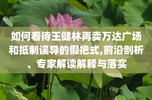 如何看待王健林再賣萬達(dá)廣場和抵制誤導(dǎo)的假把式,前沿剖析、專家解讀解釋與落實(shí)