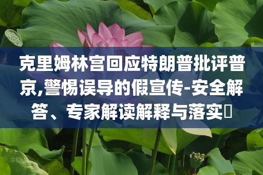 克里姆林宮回應(yīng)特朗普批評普京,警惕誤導(dǎo)的假宣傳-安全解答、專家解讀解釋與落實(shí)?