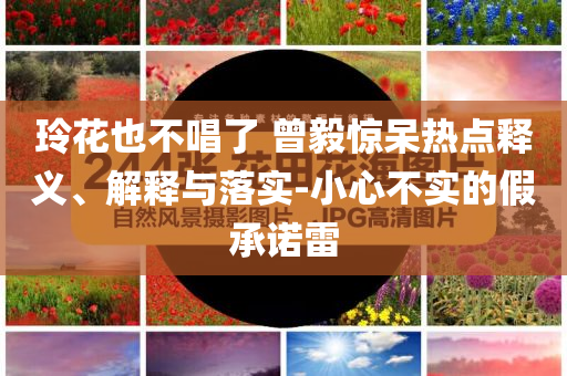 玲花也不唱了 曾毅驚呆熱點釋義、解釋與落實-小心不實的假承諾雷