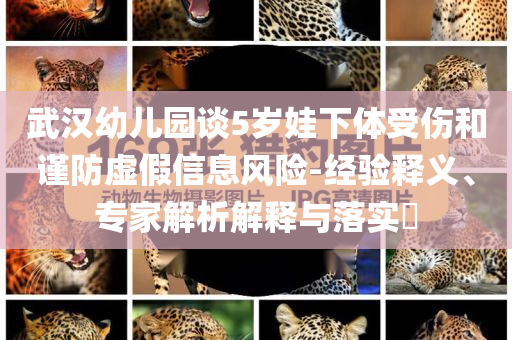 武漢幼兒園談5歲娃下體受傷和謹(jǐn)防虛假信息風(fēng)險-經(jīng)驗釋義、專家解析解釋與落實?