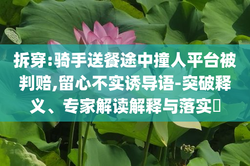 拆穿:騎手送餐途中撞人平臺被判賠,留心不實誘導語-突破釋義、專家解讀解釋與落實?