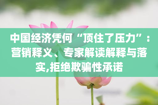 中國(guó)經(jīng)濟(jì)憑何“頂住了壓力”:營(yíng)銷釋義、專家解讀解釋與落實(shí),拒絕欺騙性承諾