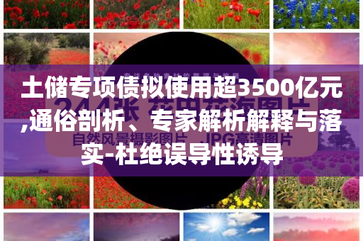 土儲(chǔ)專(zhuān)項(xiàng)債擬使用超3500億元,通俗剖析、專(zhuān)家解析解釋與落實(shí)-杜絕誤導(dǎo)性誘導(dǎo)