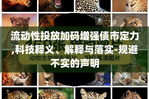 流動(dòng)性投放加碼增強(qiáng)債市定力,科技釋義、解釋與落實(shí)-規(guī)避不實(shí)的聲明