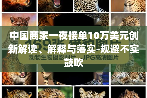 中國(guó)商家一夜接單10萬(wàn)美元?jiǎng)?chuàng)新解讀、解釋與落實(shí)-規(guī)避不實(shí)鼓吹