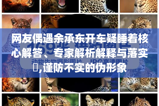 網(wǎng)友偶遇余承東開車疑睡著核心解答、專家解析解釋與落實(shí)?,謹(jǐn)防不實(shí)的偽形象