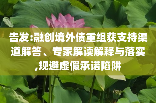 告發(fā):融創(chuàng)境外債重組獲支持渠道解答、專家解讀解釋與落實(shí),規(guī)避虛假承諾陷阱
