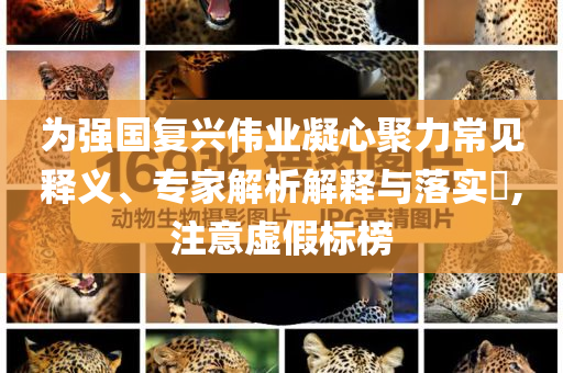 為強國復興偉業(yè)凝心聚力常見釋義、專家解析解釋與落實?,注意虛假標榜